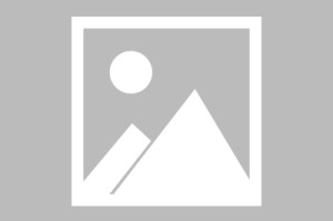 九游电脑版-【早报】劳塔罗复出双响，国米结束3轮不胜9分领跑！
